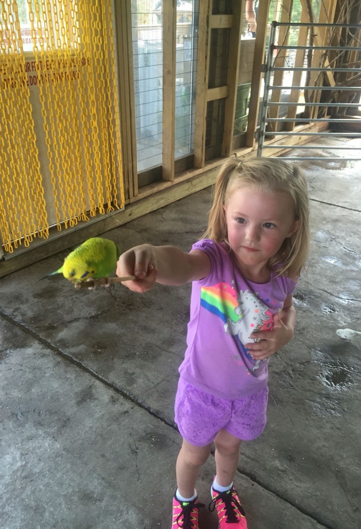 girl holding a bird in branson mo