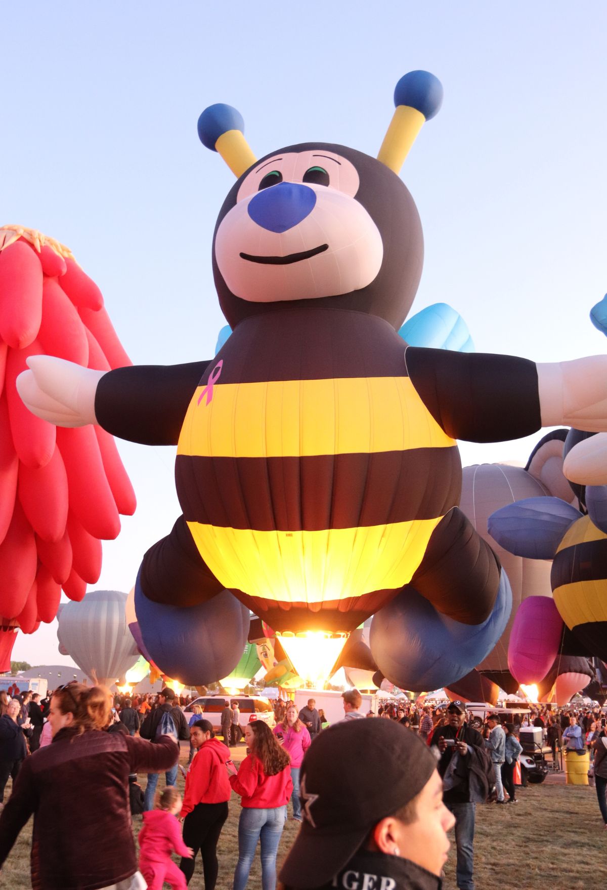 bee's hot air balloons Experience the Magic of the Albuquerque International Balloon Fiesta
