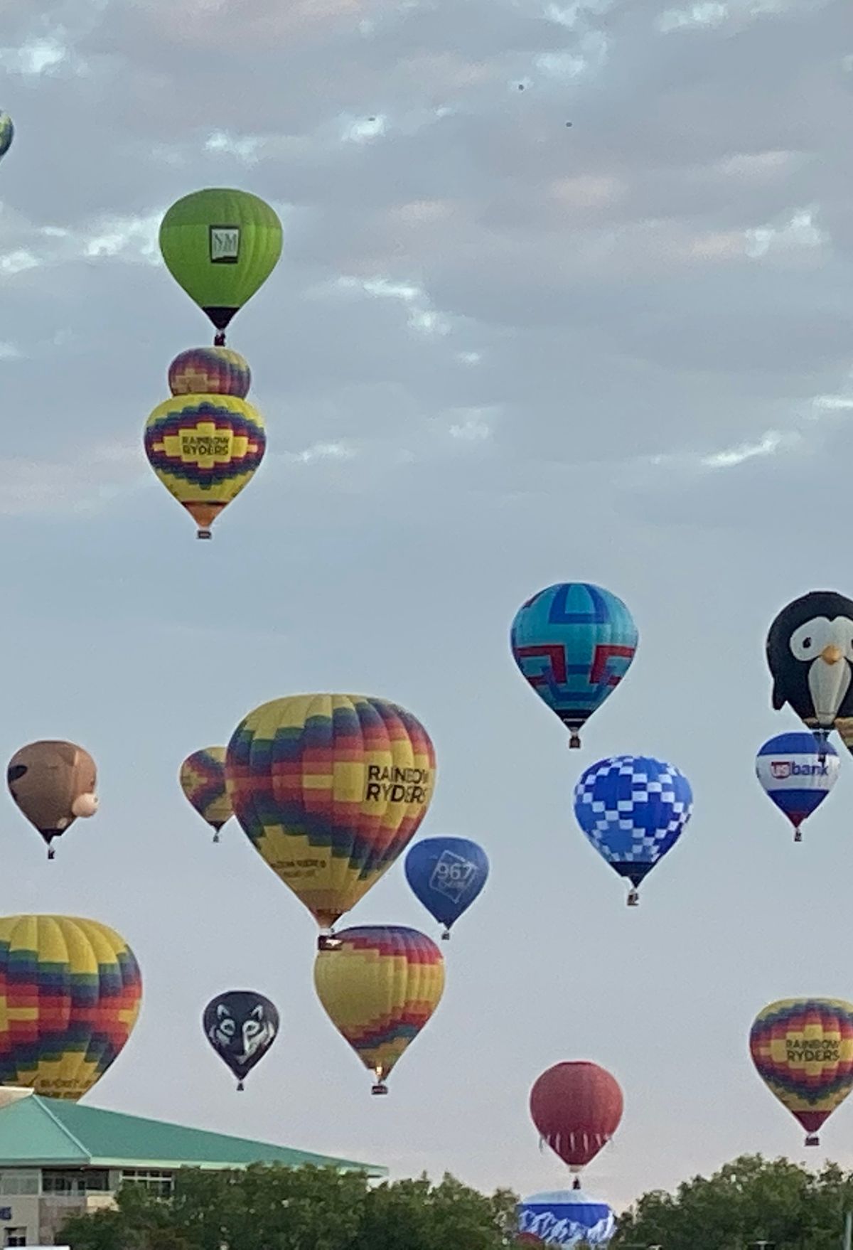 A group of hot air balloons flying in the sky above Albuquerque.
