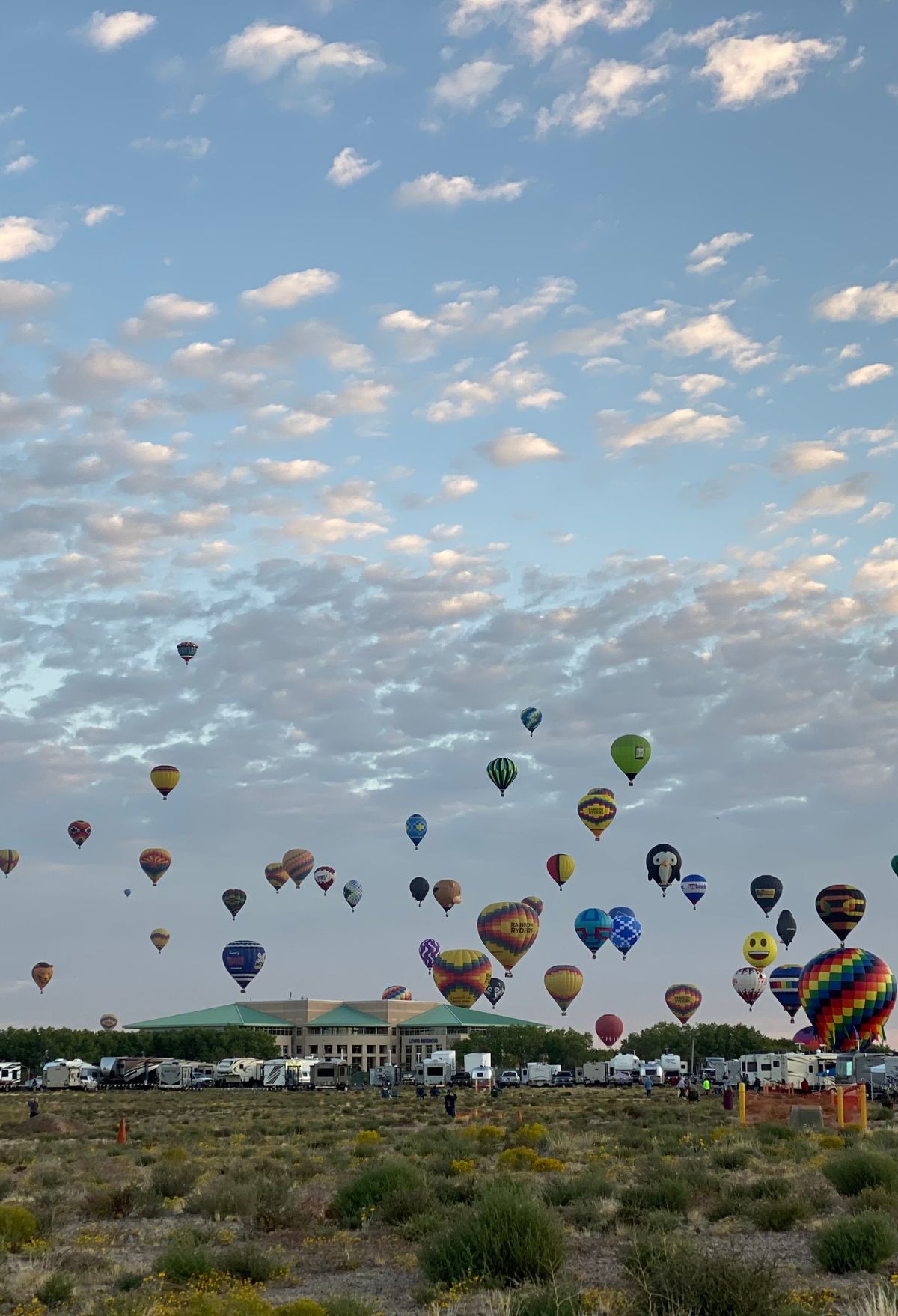 Many hot air balloons flying in the sky at Albuquerque.