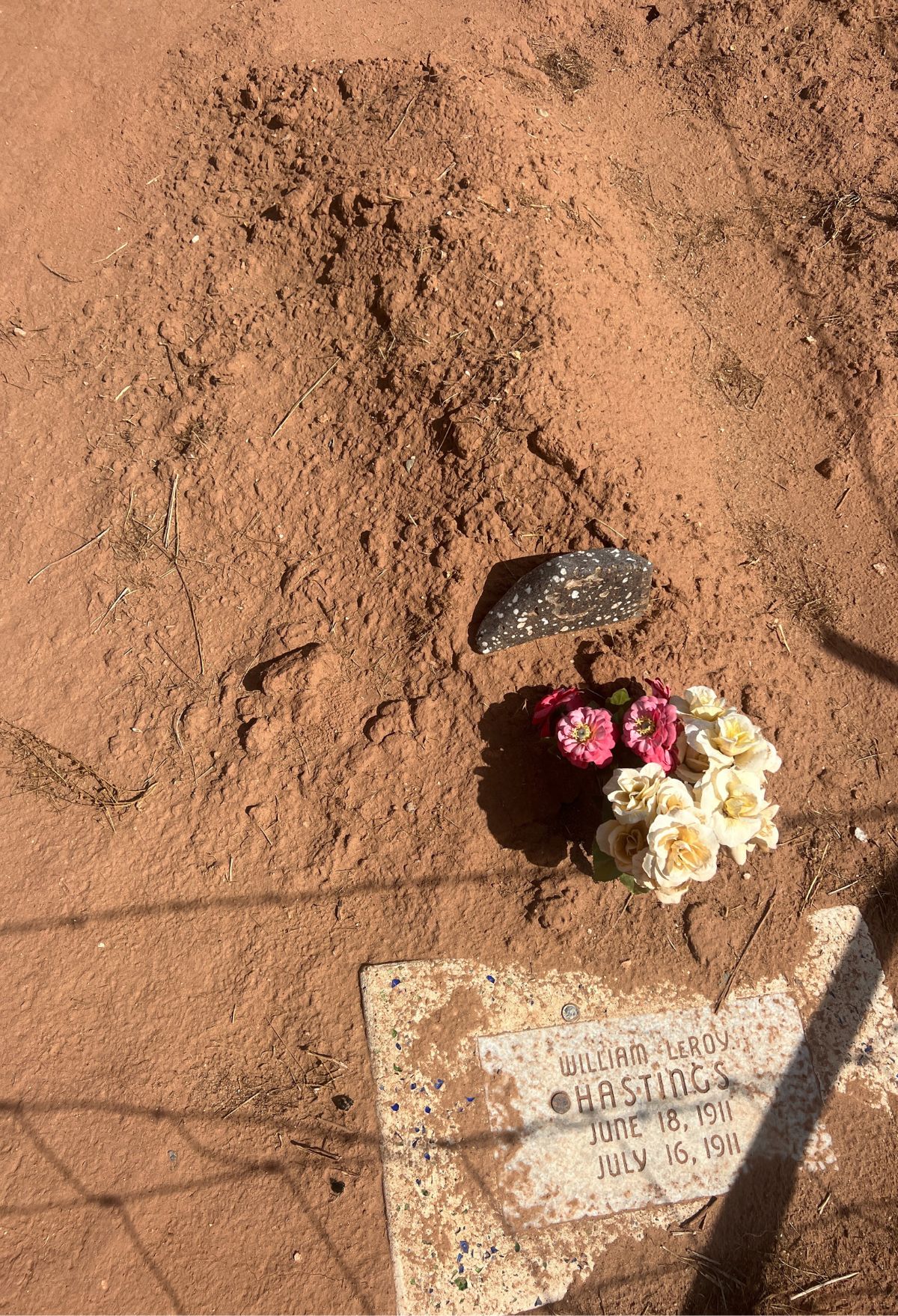 A grave with flowers and a rock next to it.