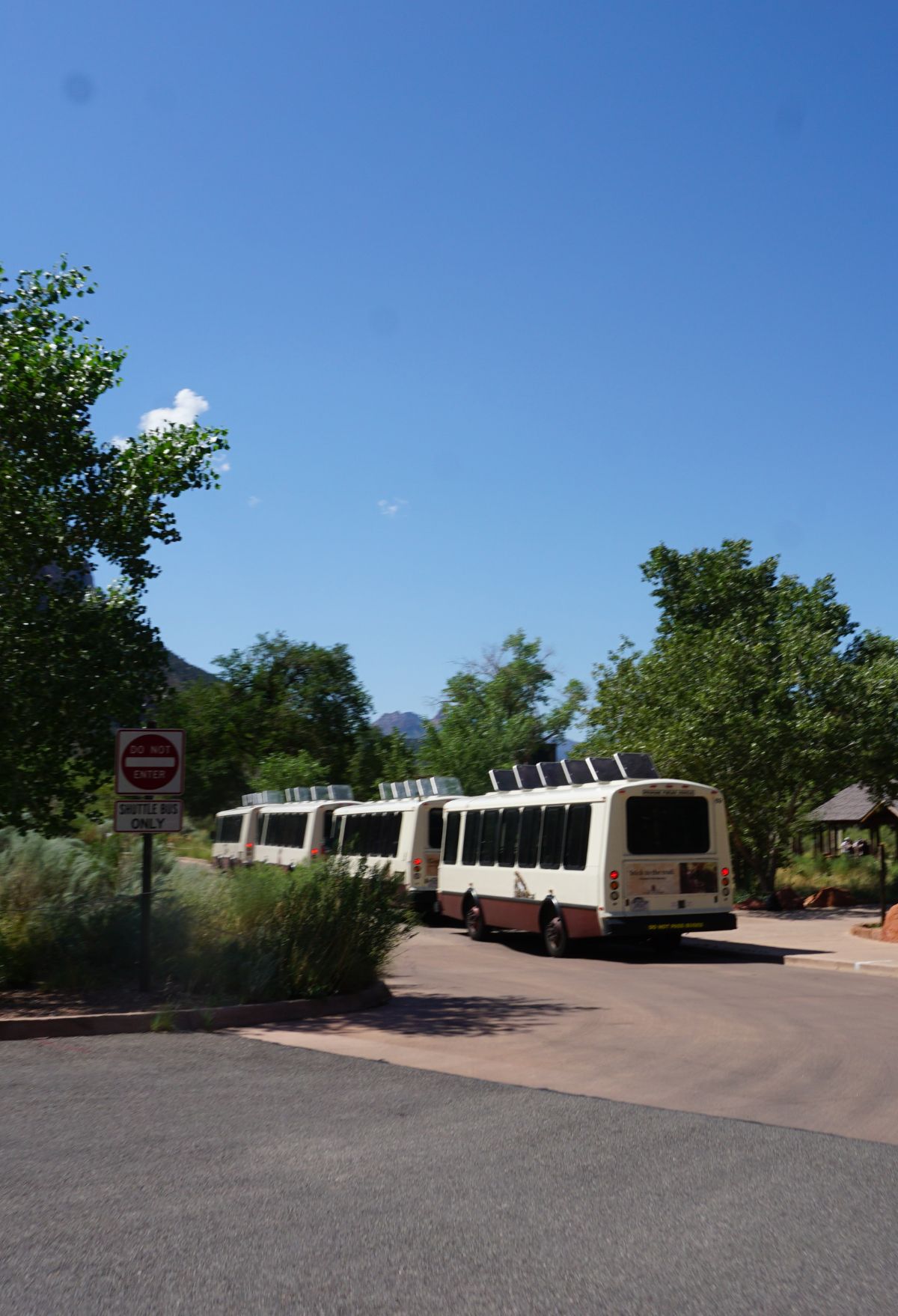 A group of buses parked in a parking lot. zion national park