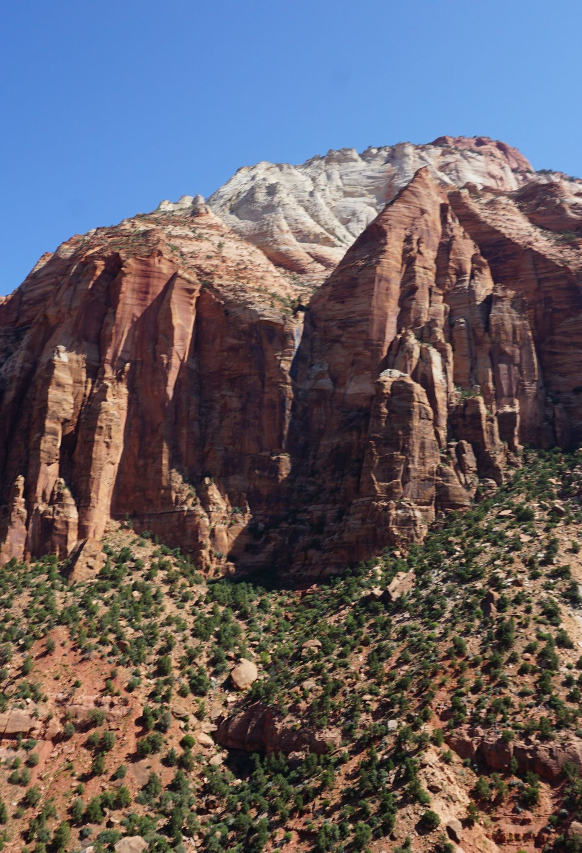 A red rock mountain. zion national park