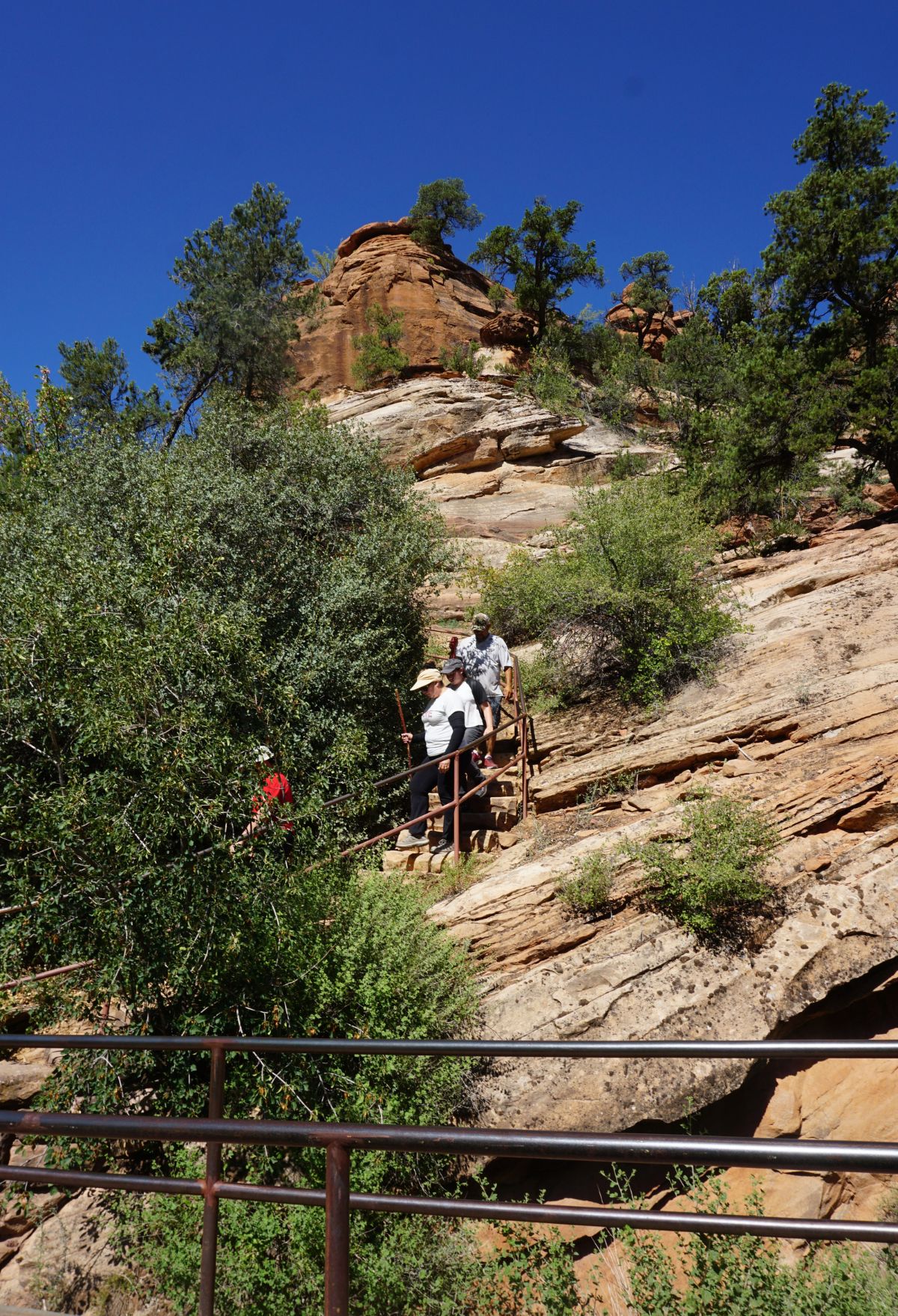 A group of people walking up a rocky path zion national park.