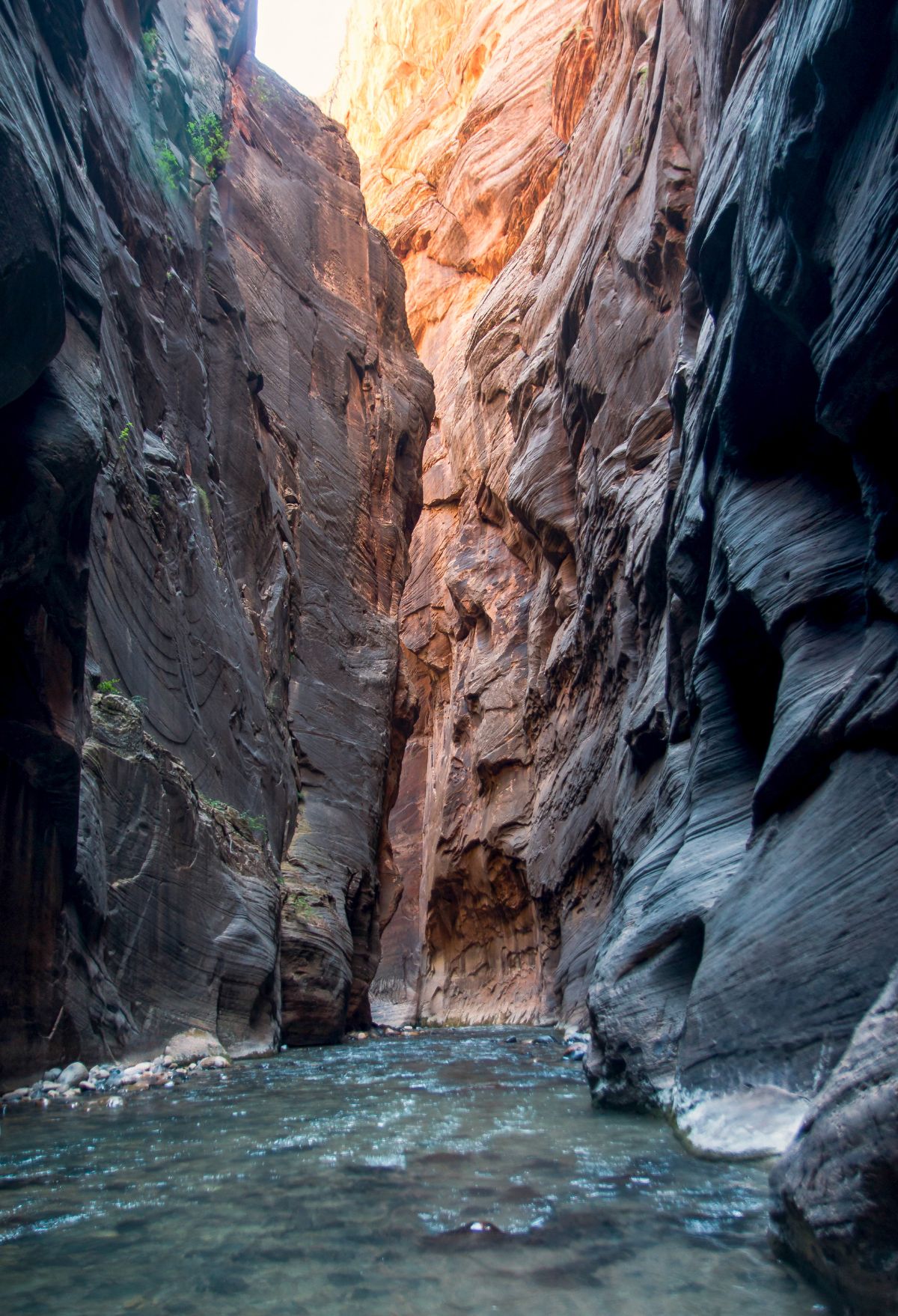 Zion National Park, Utah, with its stunning narrows, offers an unforgettable itinerary.