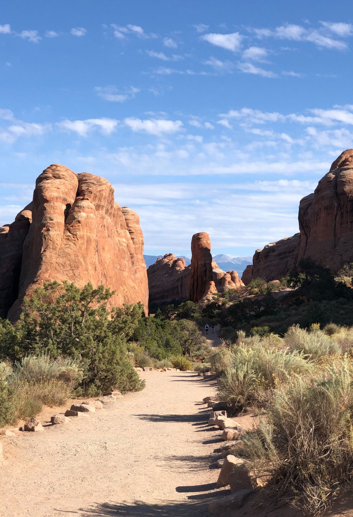 A dirt path in Arches National Park leading to a rock formation.
