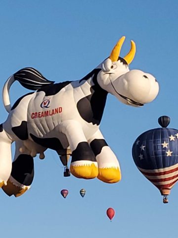 A cow flying in the sky.