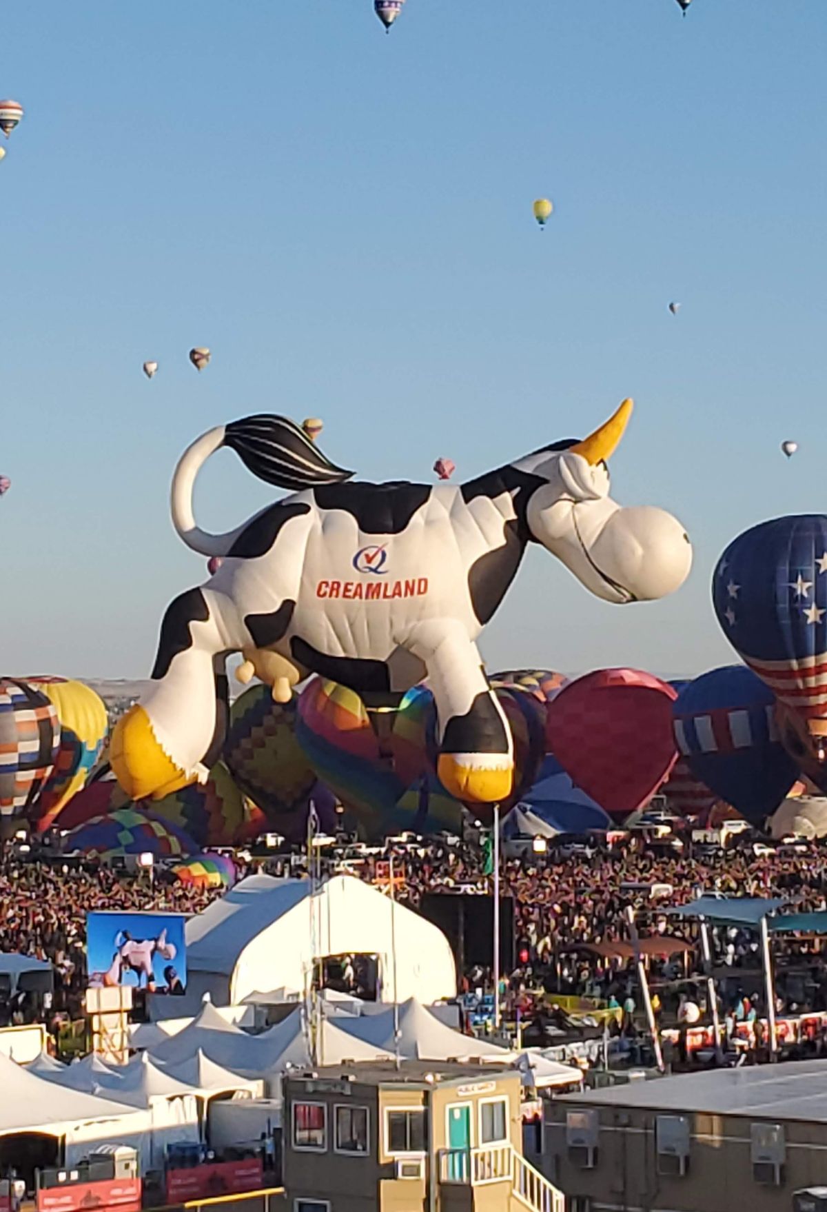 A large hot air balloon with a cow on it.