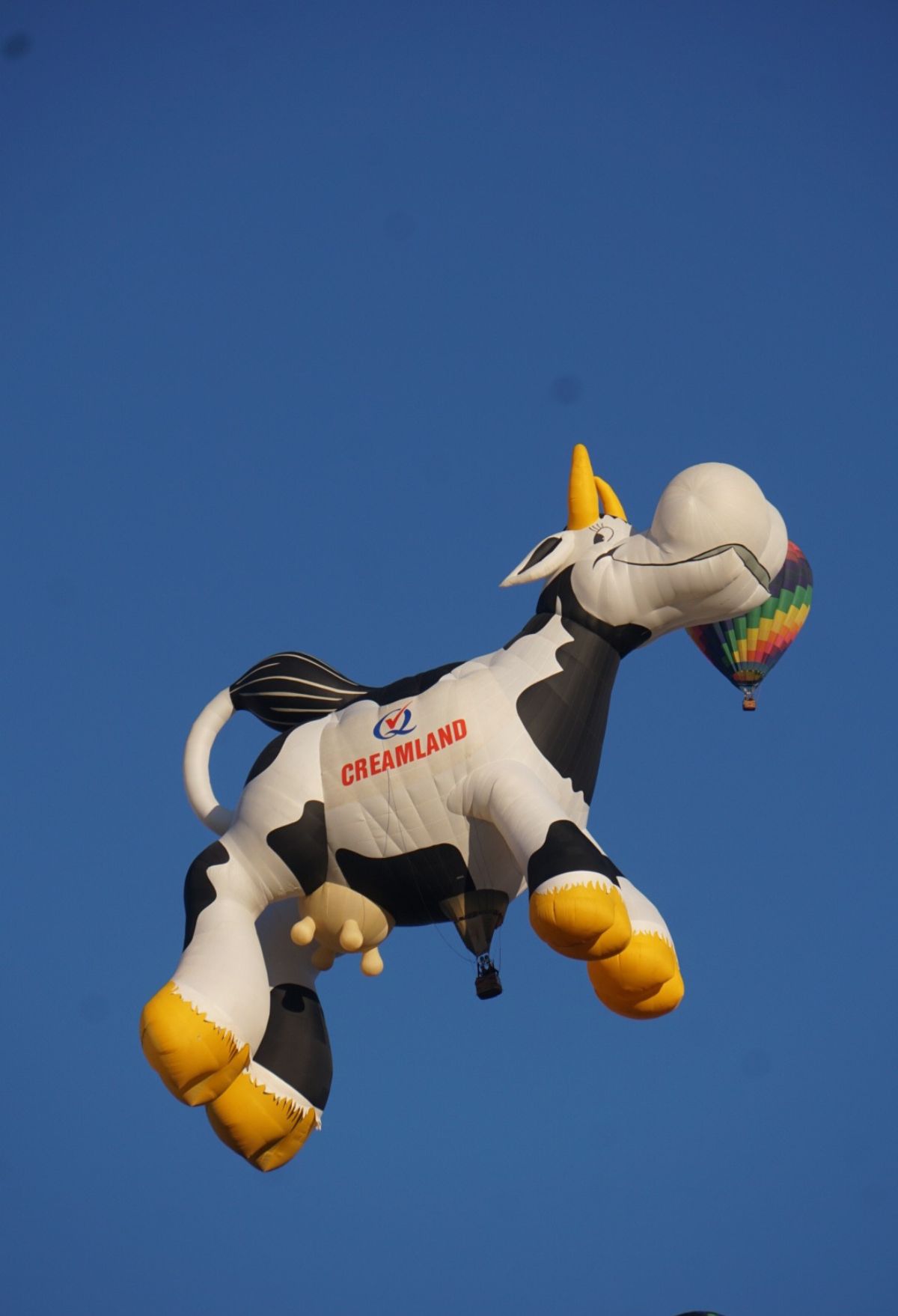 A cow flying in the sky with a balloon.