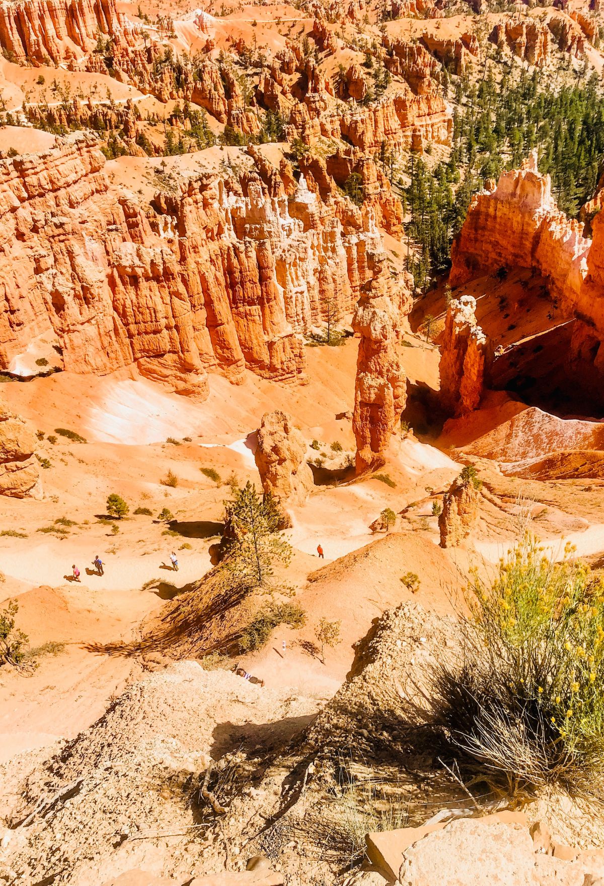 Bryce Canyon National Park in Utah showcases the breathtaking beauty of Bryce Canyon.