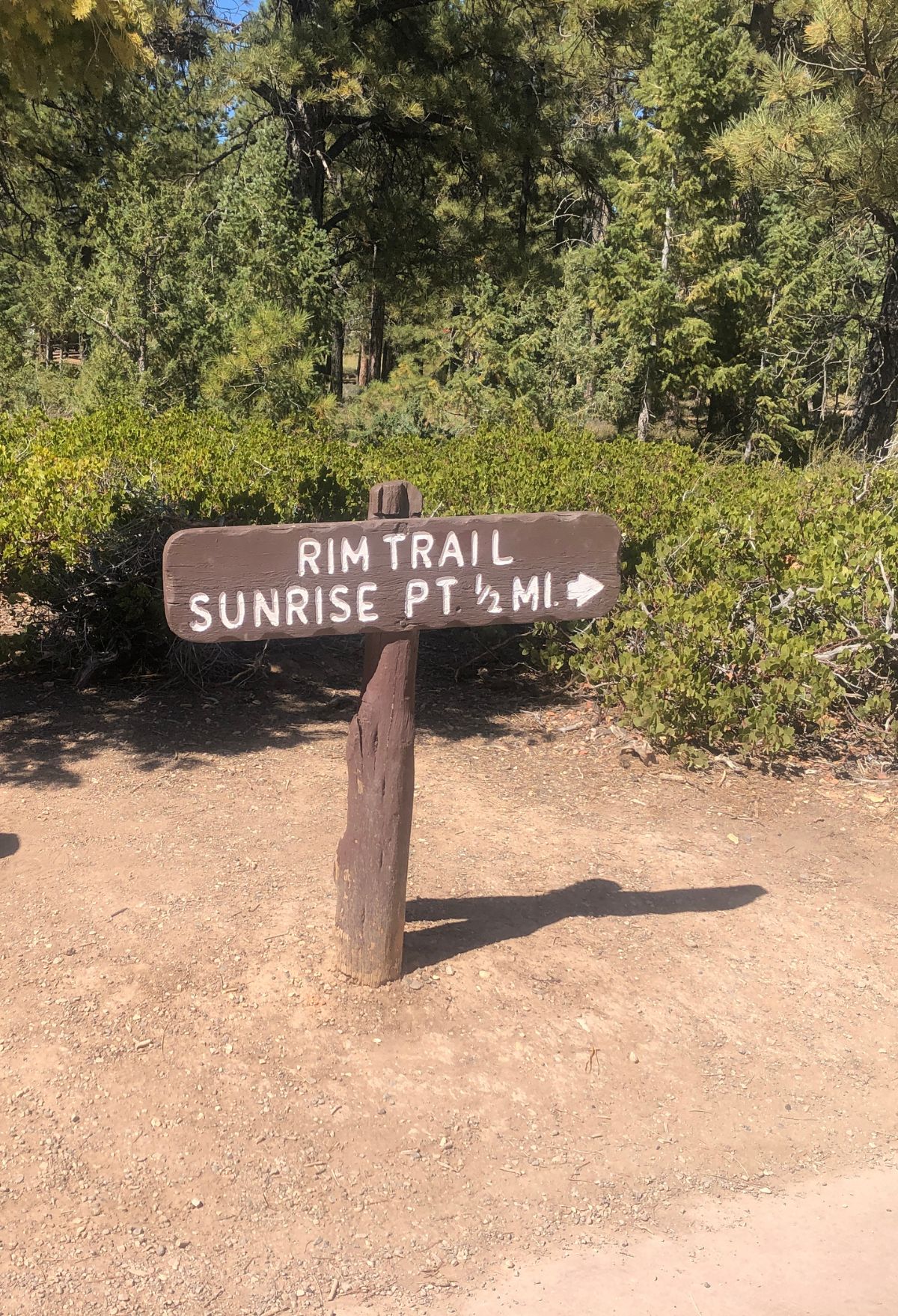 Enjoy a breathtaking sunrise hike along the Rim Trail at Bryce Canyon National Park.
