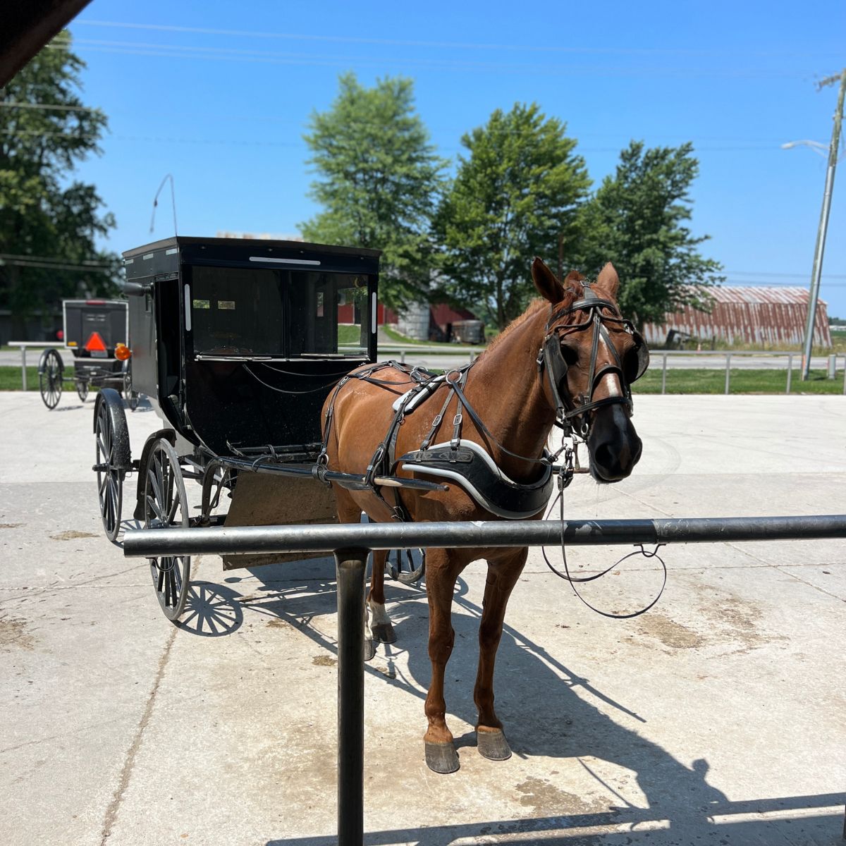 Guide to Visiting Shipshewana Indiana Life in The RV