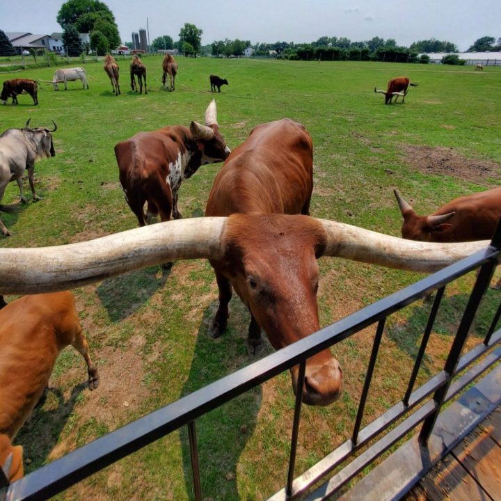 RV Parks Near Shipshewana Indiana Life in The RV