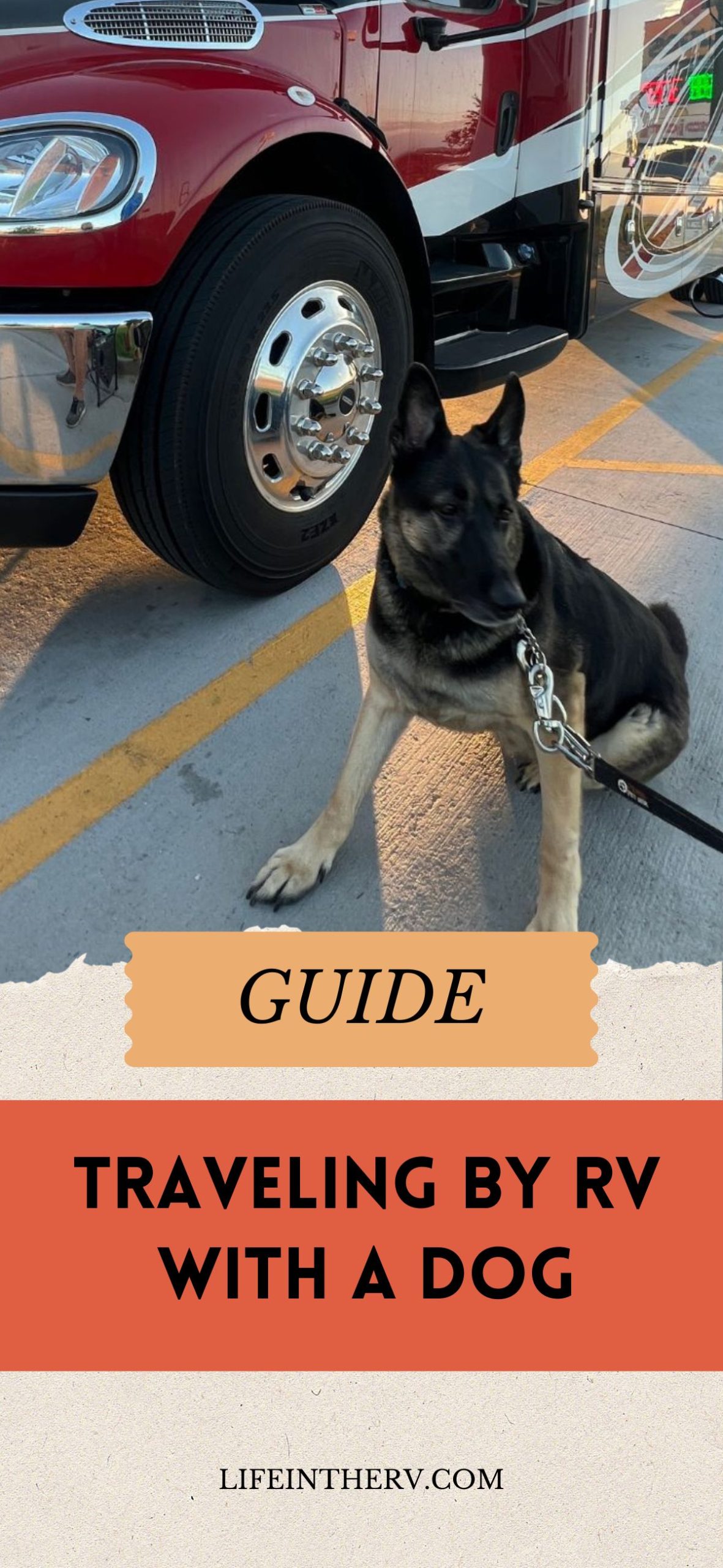 Guide to Traveling by RV with A Dog | Life in The RV