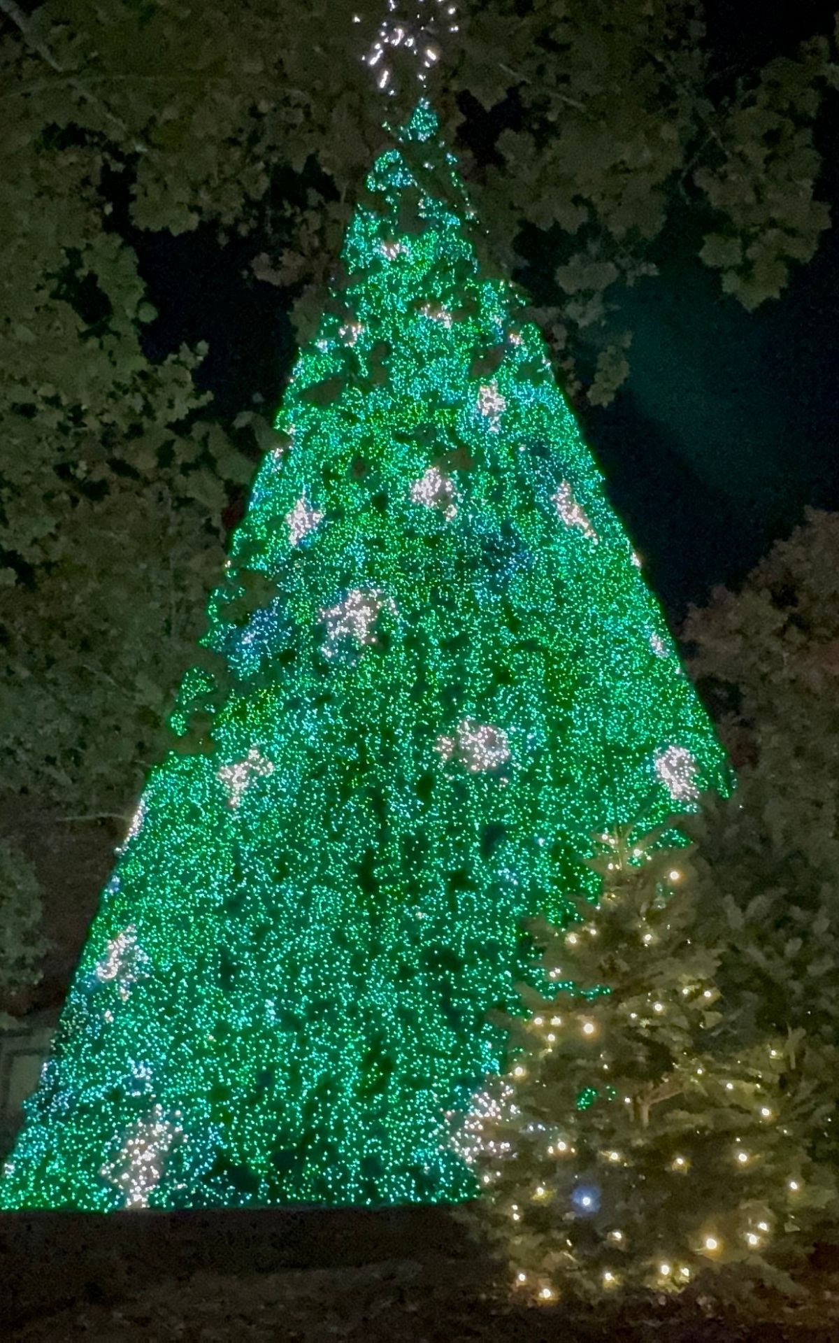 A large Christmas tree covered in green and white lights stands outdoors at night near a casino camping site, with a smaller, similarly decorated tree nearby.