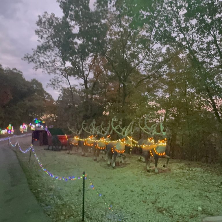 A row of illuminated artificial reindeer with Christmas lights and a sleigh creates a festive trail of lights on a gravel area beside a road, surrounded by trees at dusk.