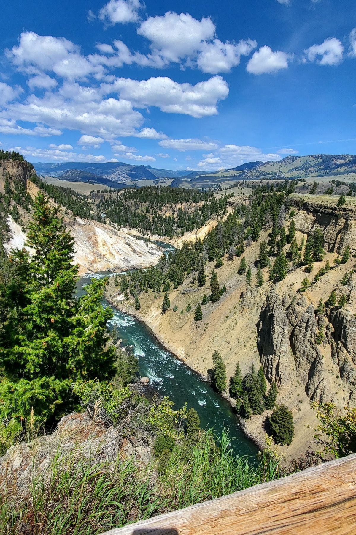 A wide river cuts through a rocky, tree-lined canyon under a blue sky with scattered clouds, surrounded by distant mountains—an ideal view for those embracing RV Living Full Time.