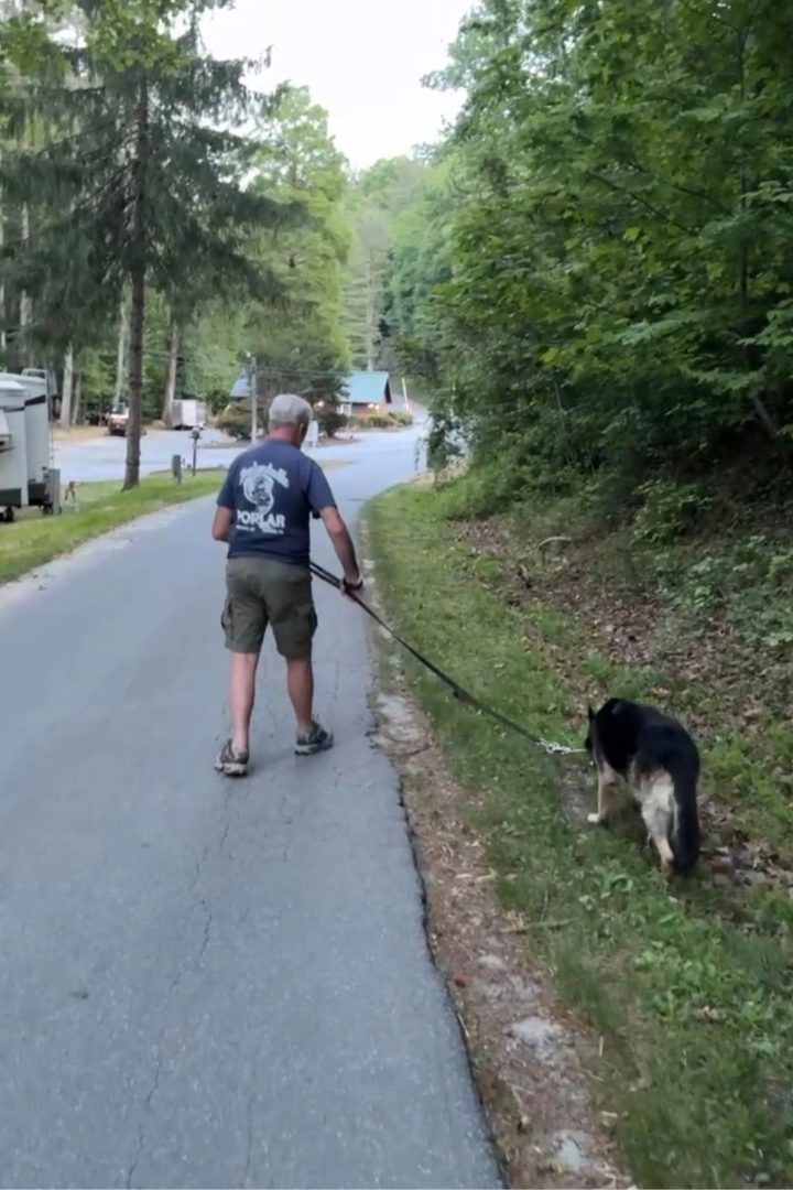 A person walks a black and tan dog on a leash along a paved road bordered by trees and campers at Green Mountain Thousand Trails.