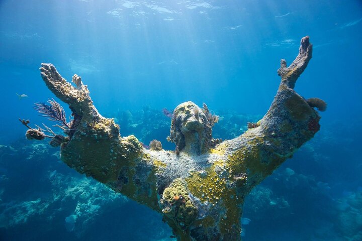 Snorkeling at John Pennekamp Coral Reef State Park