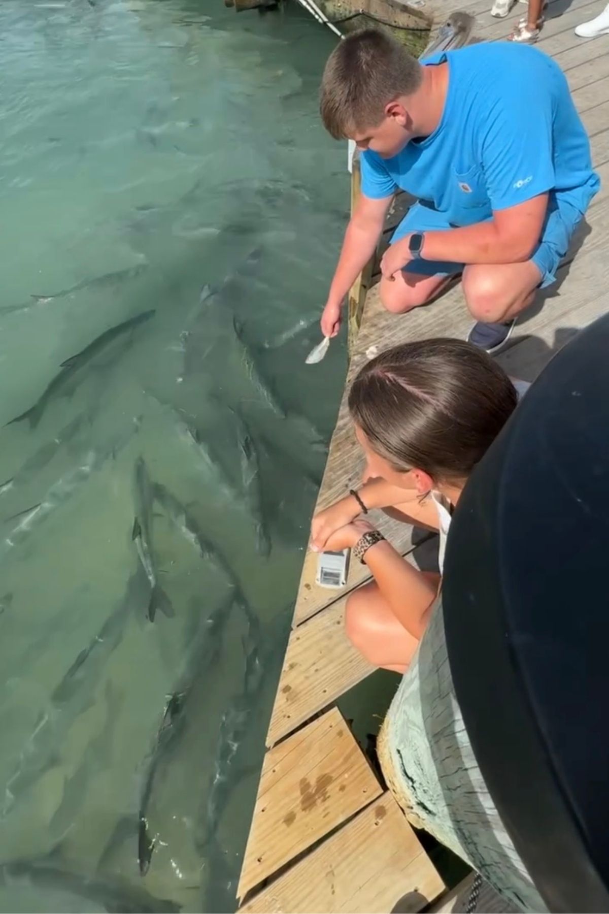 Feeding the tarpon at Robbie's Islamorada