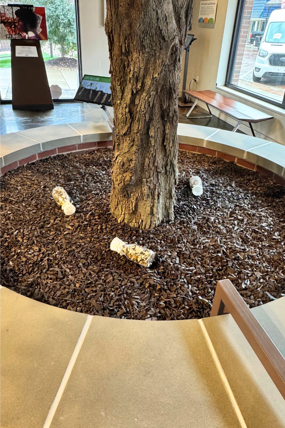 A tree grows in an indoor planter surrounded by brown mulch, reminiscent of the greenery found in Southeast Kansas. Three plastic water bottles filled with objects are lying on the mulch.